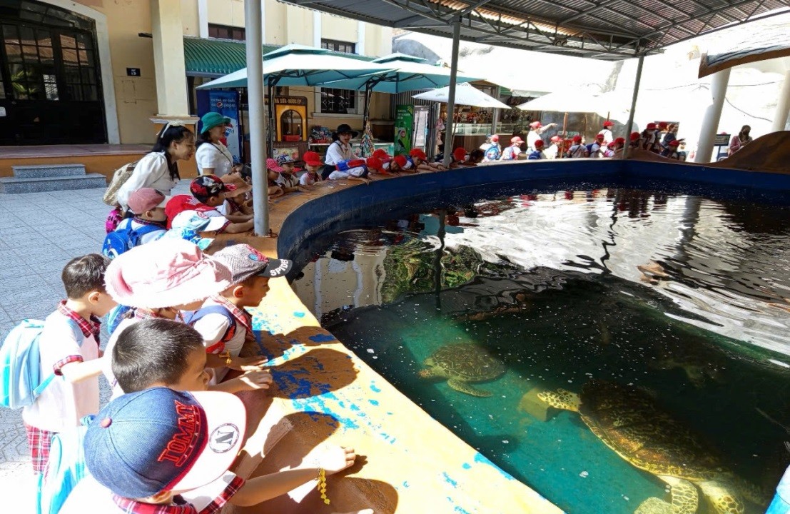Các trẻ quan sát hồ rùa
